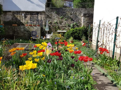 Hinterhof, Garten, Altstadt, Idstein