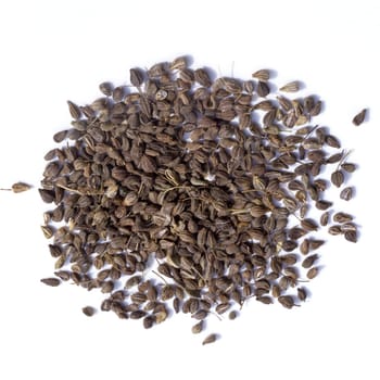 Anissamen, Anis, Pimpinella, anisum