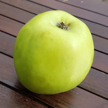 Ananasrenette, Herzapfel, Apfel, Malus, domestica, Alte Apfelsorte