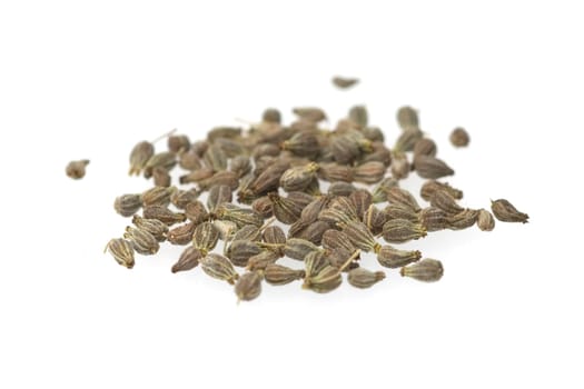 Anissamen, Anis, Pimpinella, anisum