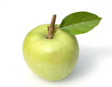 Granny, Apfel, Malus domestica, Granny Smith