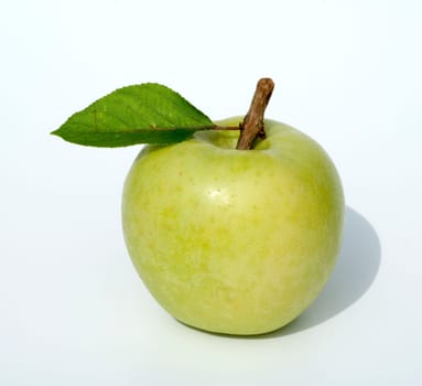 Granny, Apfel, Malus domestica, Granny Smith