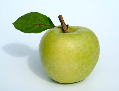 Granny, Apfel, Malus domestica, Granny Smith