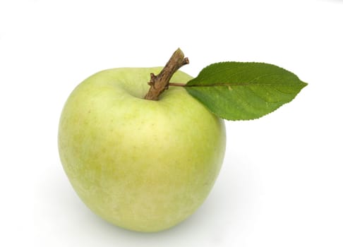 Granny, Apfel, Malus domestica, Granny Smith