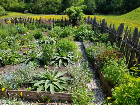 Bauerngarten  Kraeutergarten, Apothekergarten