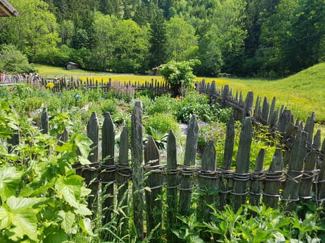 Bauerngarten  Kraeutergarten, Apothekergarten