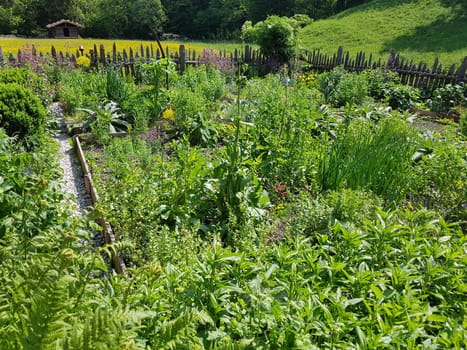 Bauerngarten  Kraeutergarten, Apothekergarten