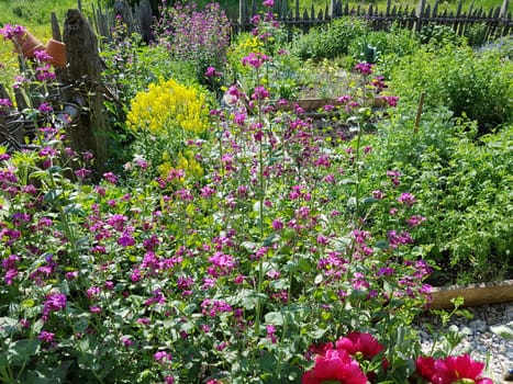 Bauerngarten  Kraeutergarten, Apothekergarten