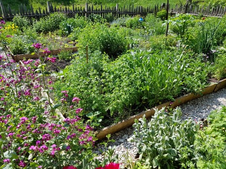 Bauerngarten  Kraeutergarten, Apothekergarten