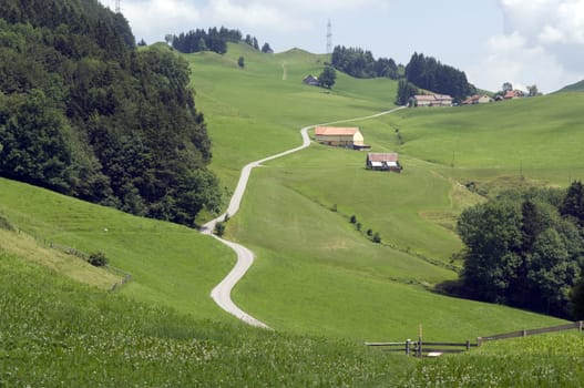 Appenzellerland