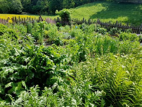 Bauerngarten  Kraeutergarten, Apothekergarten