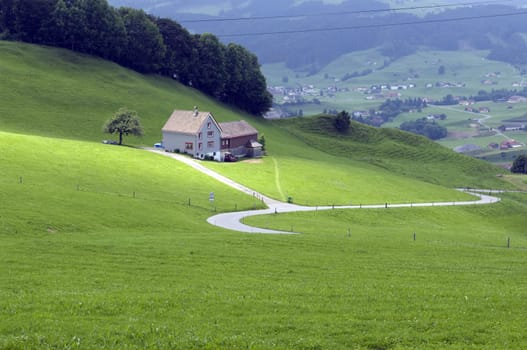 Appenzellerland