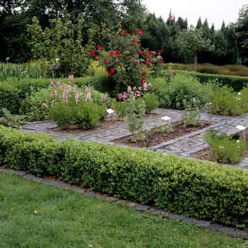Apothekergarten Wiesbaden
