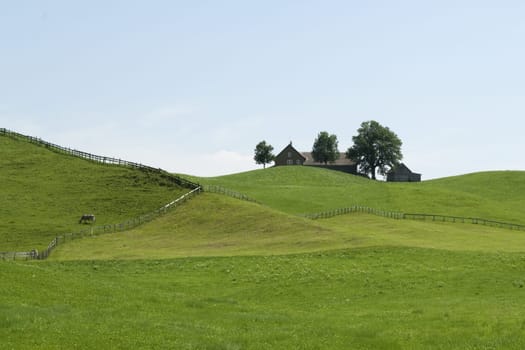 Appenzellerland