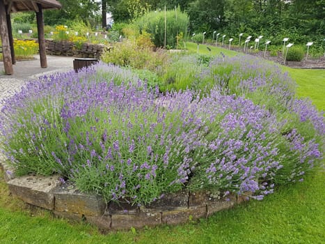 Apothekergarten Wiesbaden