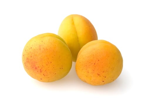 Aprikose, Prunus armeniaca, Heilpflanzen, Fruechte, Obst