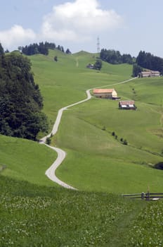 Appenzellerland