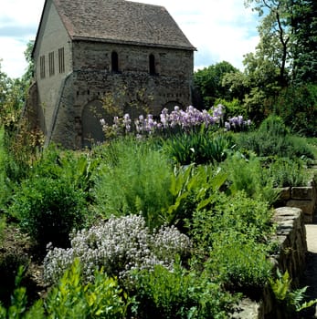 Apothekergarten im Kloster Lorsch, Apothekergarten, Heilpflanzen, Kloster, Lorsch.