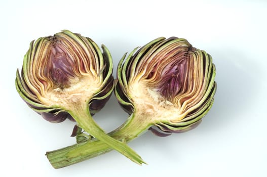Artischocke  Cynara, scolymus