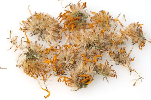 Arnika  Arnica, montana  getrocknet