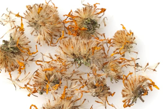 Arnika  Arnica, montana  getrocknet