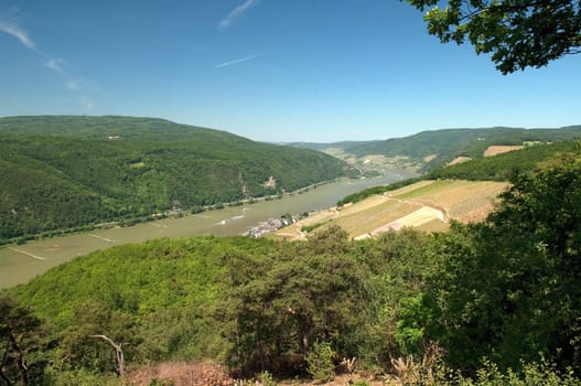 Assmannshausen, Burg, Rheinstein