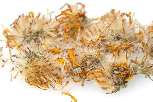 Arnika  Arnica, montana  getrocknet