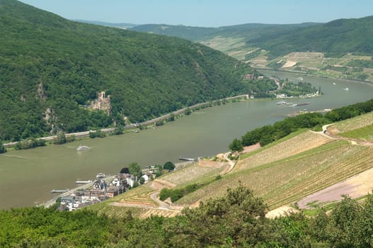 Assmannshausen, Burg, Rheinstein, Blick  Rhein
