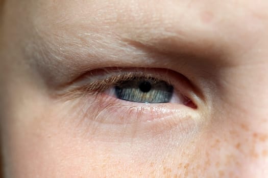 Auge, Lid, iris, Maedchenauge