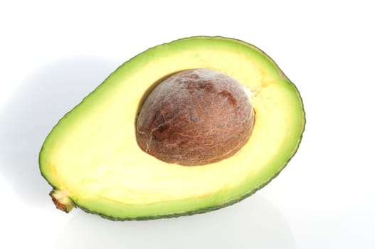 Avocado, Persea americana
