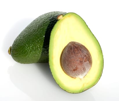 Avocado, Persea americana