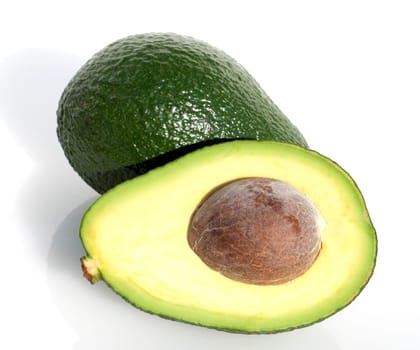 Avocado, Persea americana