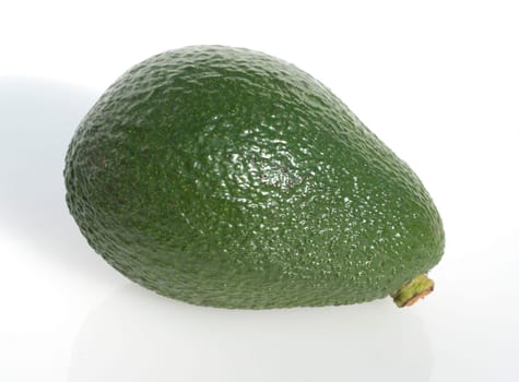 Avocado, Persea americana
