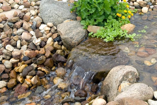 Bachlauf, Wasserlauf