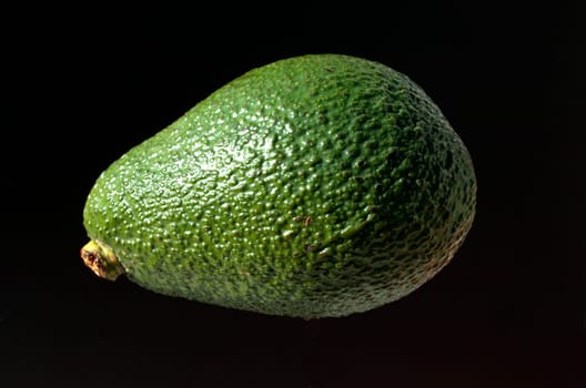 Avocado, Persea americana, Exotische Frucht, exotisch, Suedfrucht