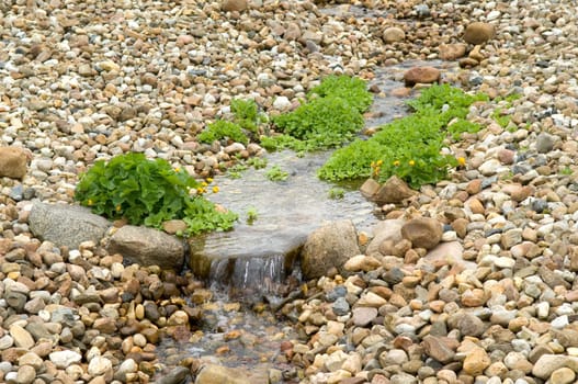 Bachlauf, Wasserlauf