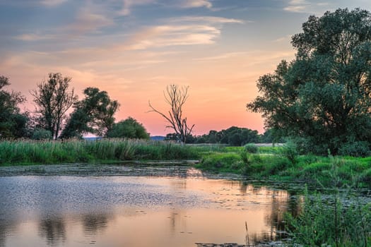 Wetlands and small lake or river sounded by forest near Cedynia, Poland. Tranquil summer sunset, relaxation. Soft focus image technique