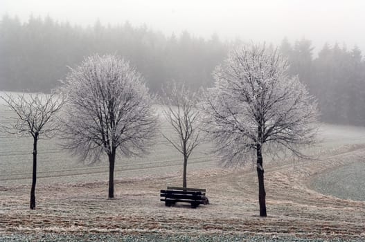 Winterlandschaft