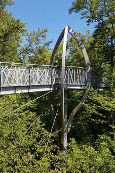 Baumkronenweg, Hessen, Buchenwald, Nationalpark, Kellerwald