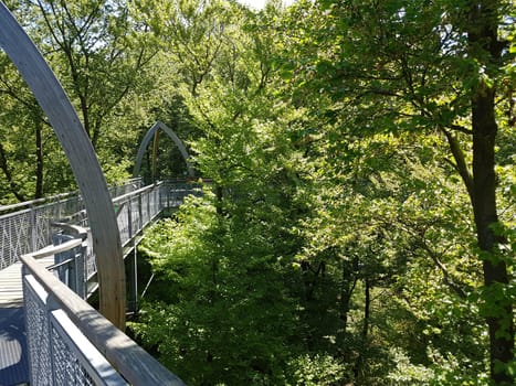 Baumkronenweg, Hessen, Buchenwald, Nationalpark, Kellerwald