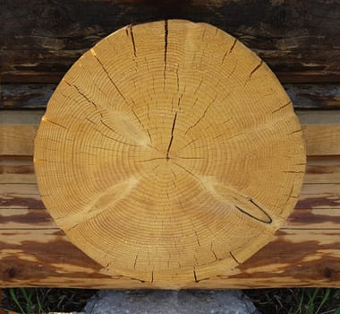 Jahresringe, Jahrring, Holzring, Maserung, Holzscheibe