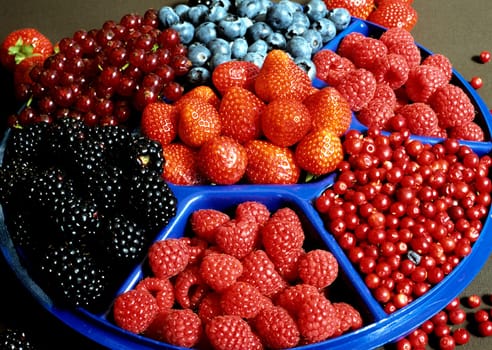 Beeren, Teller, Heidelbeeren, Himbeeren, Erdbeeren, Johannisbeeren, Brombeeren, Preiselbeeren   .