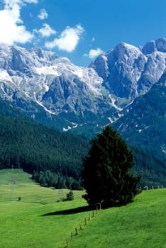 Berchtesgadener Alpen