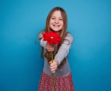 Charming girl giving a gerbera