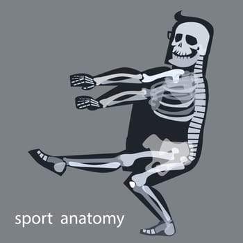 Skeleton anatomy sport male gymnastics. The human skeleton during sports