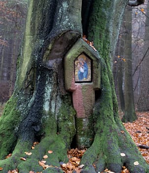 Bildstock