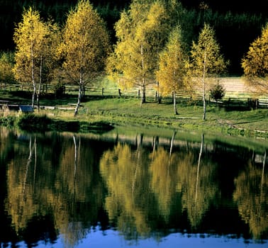 Waldsee, Angelteich in Taunusstein, Birkenweiher, Landschaft