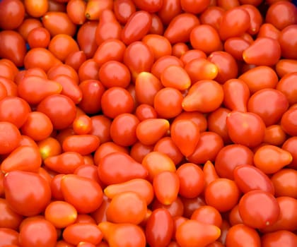 Birnentomaten, rote