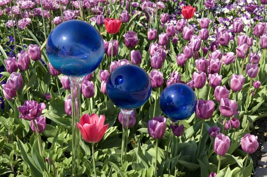 Rosenkugeln, Ambiente, Gartenambiente