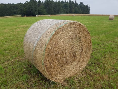 Heuballen, Ballen, Futter, Heu